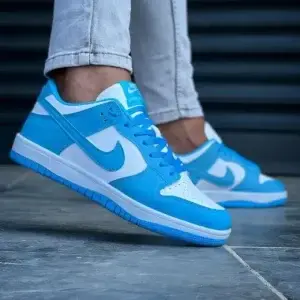 Air Jordan Dunk Low Blue(Good Quality)